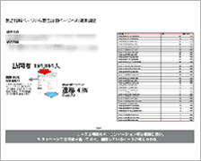 ポイントを絞ったページ診断レポート